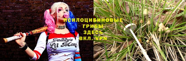 apvp Армянск