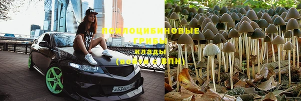 ПСИЛОЦИБИНОВЫЕ ГРИБЫ Аркадак