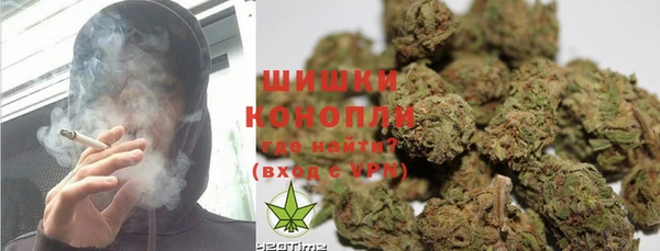 ПСИЛОЦИБИНОВЫЕ ГРИБЫ Аркадак