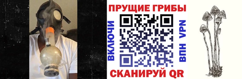 наркошоп  Шумерля  Псилоцибиновые грибы прущие грибы 