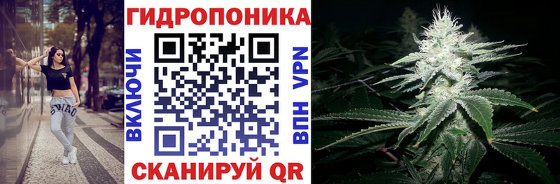 Бошки Шишки THC 21%  МЕГА вход  Шумерля 